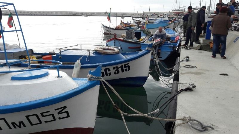 Фотооко: Рибарите в Сарафово се завърнаха с пълни лодки с чернокоп и паламуд тази сутрин - E-Burgas.com